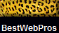 BestWebPros