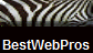 BestWebPros